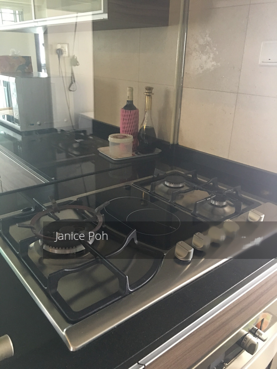 Blk 1A The Pinnacle@Duxton (Bukit Merah), HDB 5 Rooms #142900682